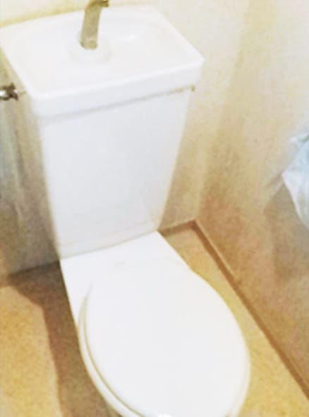 リノベーション前のトイレの写真